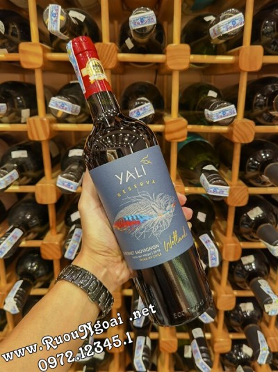 Top 1 Rượu Vang Chile Yali Reserva Ngon Giá Tốt Nhất Tại TP.HCM - Good Wine Cost $ 2